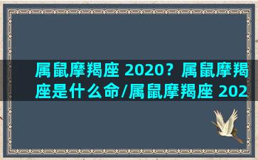 属鼠摩羯座 2020？属鼠摩羯座是什么命/属鼠摩羯座 2020？属鼠摩羯座是什么命-我的网站